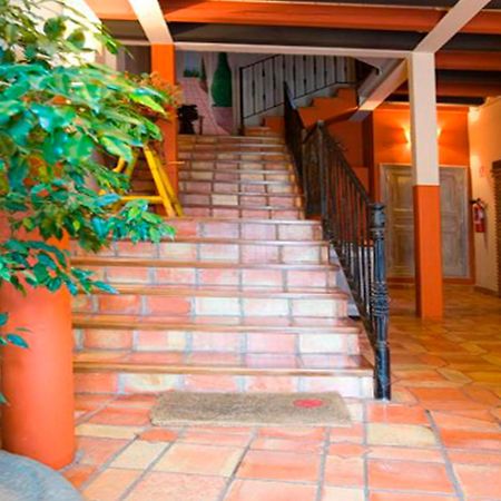 Apartamentos Senorio De Haro 3000 Zewnętrze zdjęcie